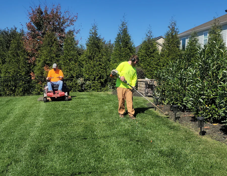 Person mowing a residential lawn with a walk behind mower